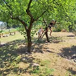 Feriehus Rekreacni Na Jizni Morave *